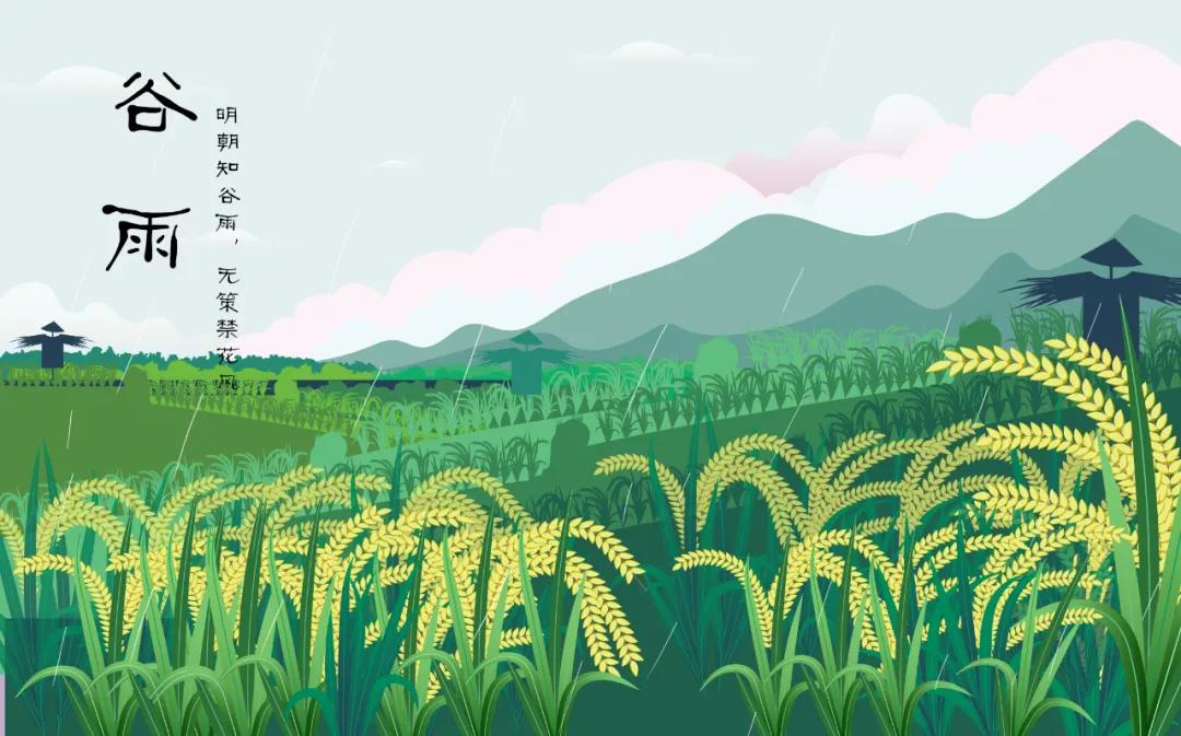 谷雨养肝祛湿正当时,春季养肝也要养胃饮食宜健脾养阳