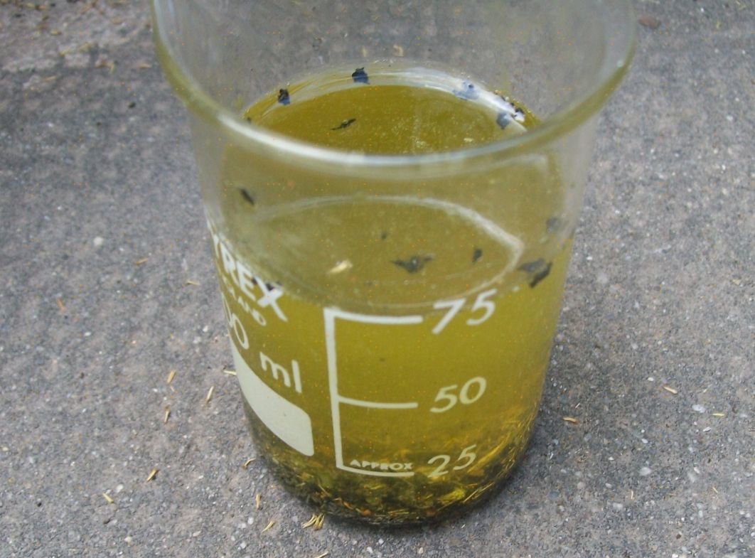 多少金矿石能提炼出一克黄金,一吨金矿能提炼出多少克黄金