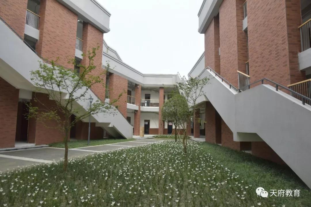 天府新区为什么多校划片,2021年天府新区学区划片高清图