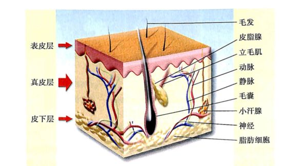 黑色素痣用激光还是手术,痣是手术切除好还是激光好