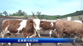 走向我们的小康社会,脱贫致富的小康生活