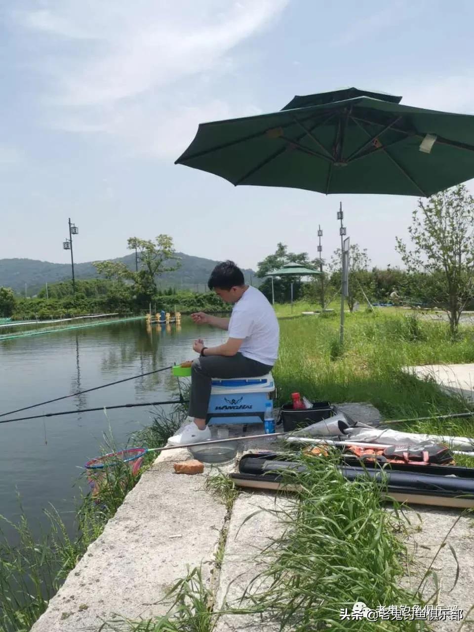七月野钓罗非鱼,七月高温钓鱼