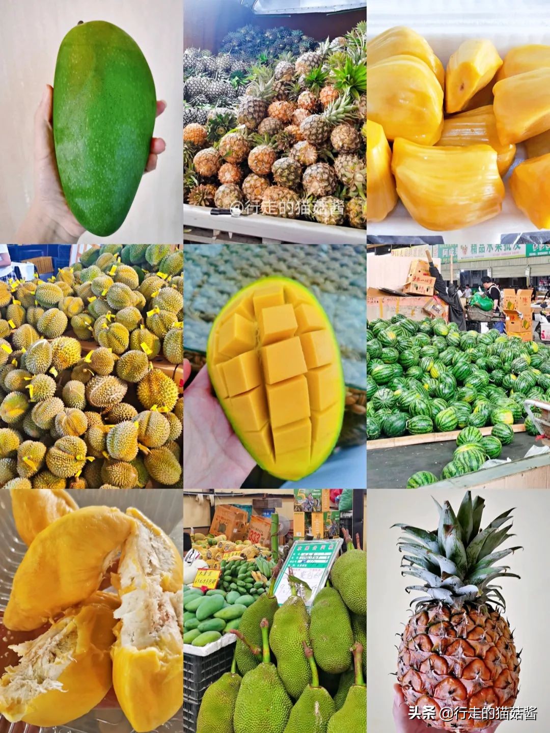 三刷西双版纳留给我的12个印象，聊聊这个宜居的边境小城