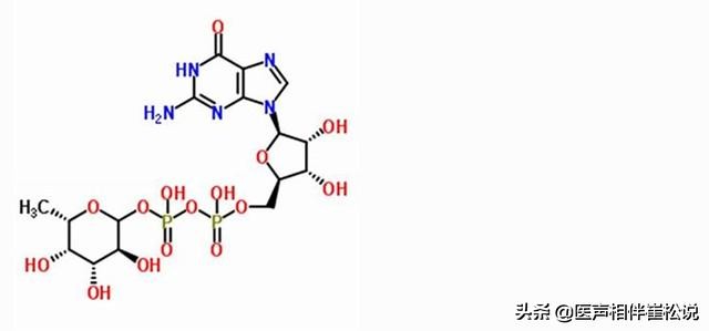 伟哥可以治哪种心脏病,治疗心脏的药伟哥