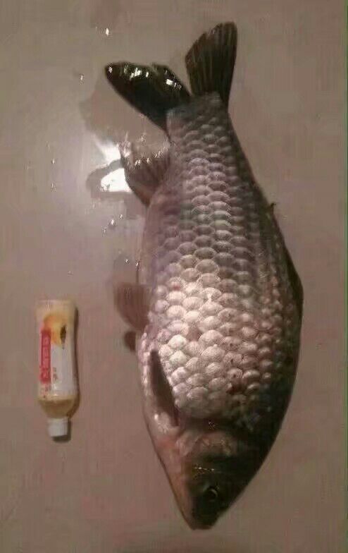 淘宝上的万能商品有哪些,淘宝上超好用的东西