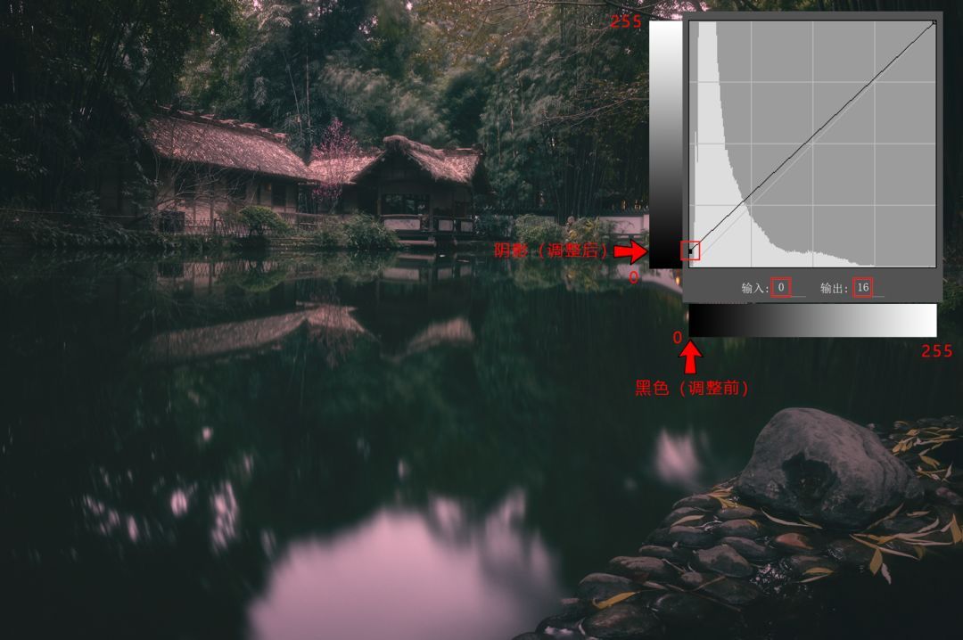 曲线要怎么记容易学得快,曲线难学吗
