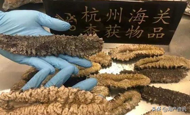 加拿大海参开袋即食,加拿大海参专卖店