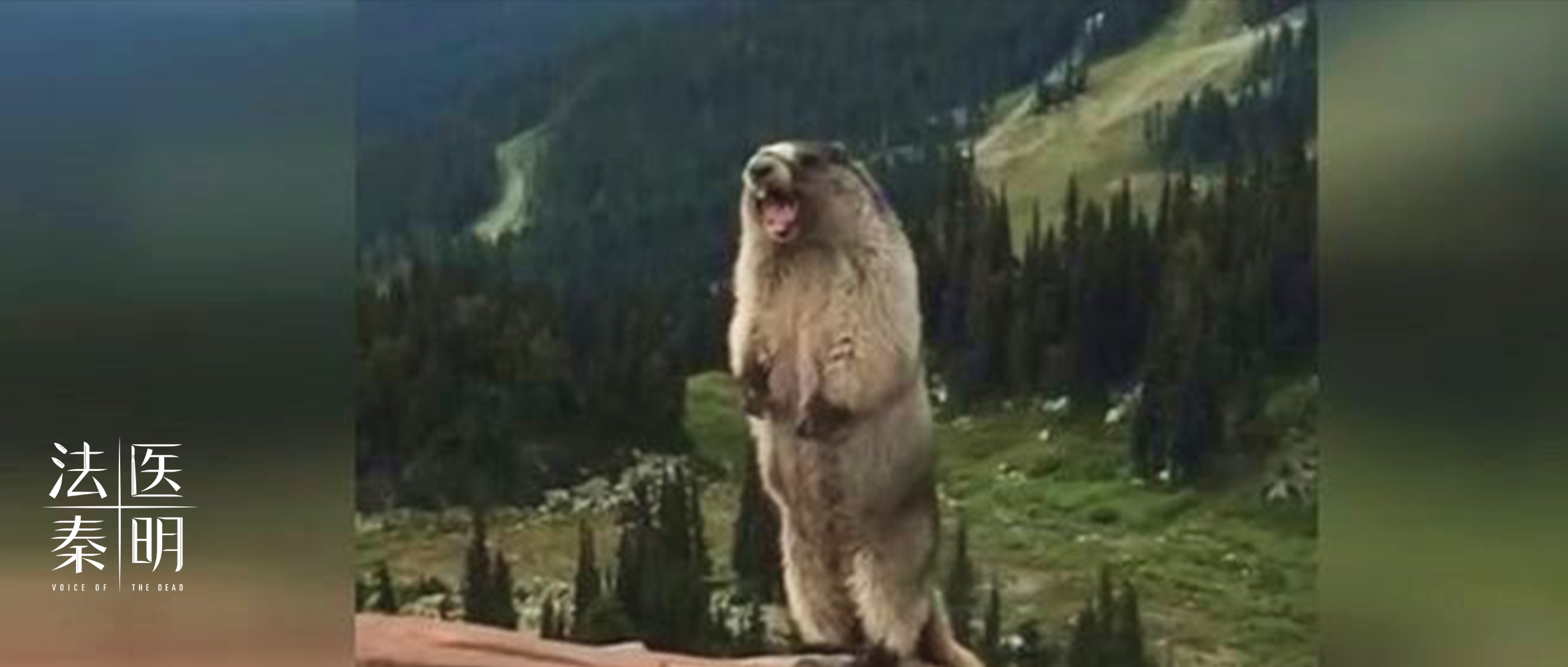 啊啊啊啊啊啊啊流血了怎么办！