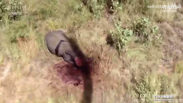 被已婚男欺骗致怀孕一尸两命,女孩儿被骗怀孕最后被杀害