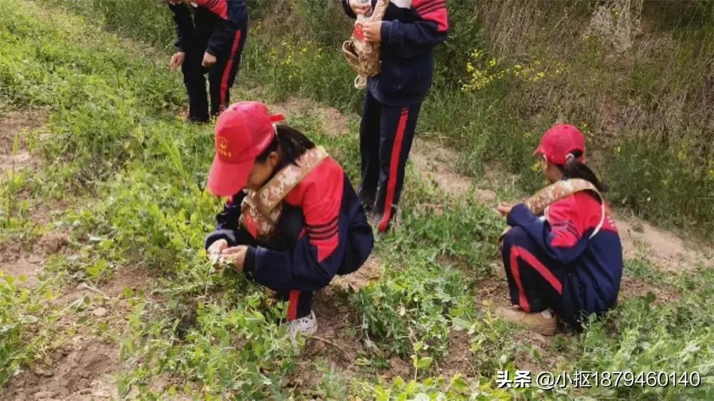 2021年李锋教育「成长不烦恼」第十二天夏令营之传递爱心扶贫助学