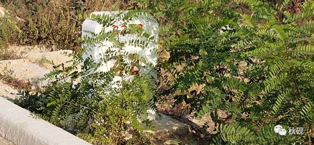 北戴河房车自驾游攻略,南戴河房车自驾游