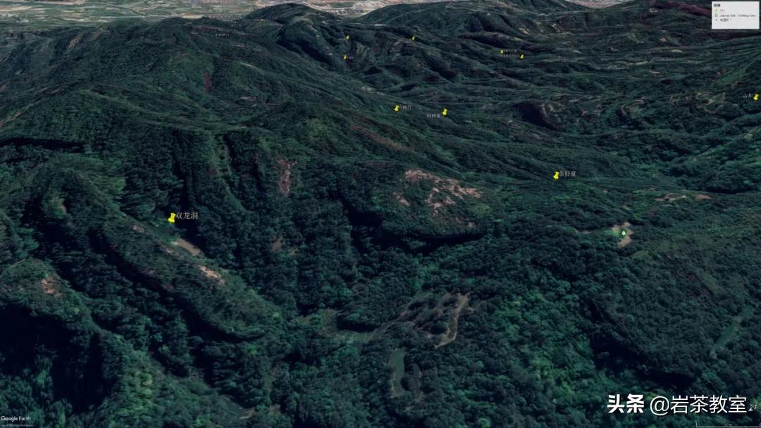 武夷山岩茶正岩山场详细介绍,岩茶玩家牛栏坑肉桂