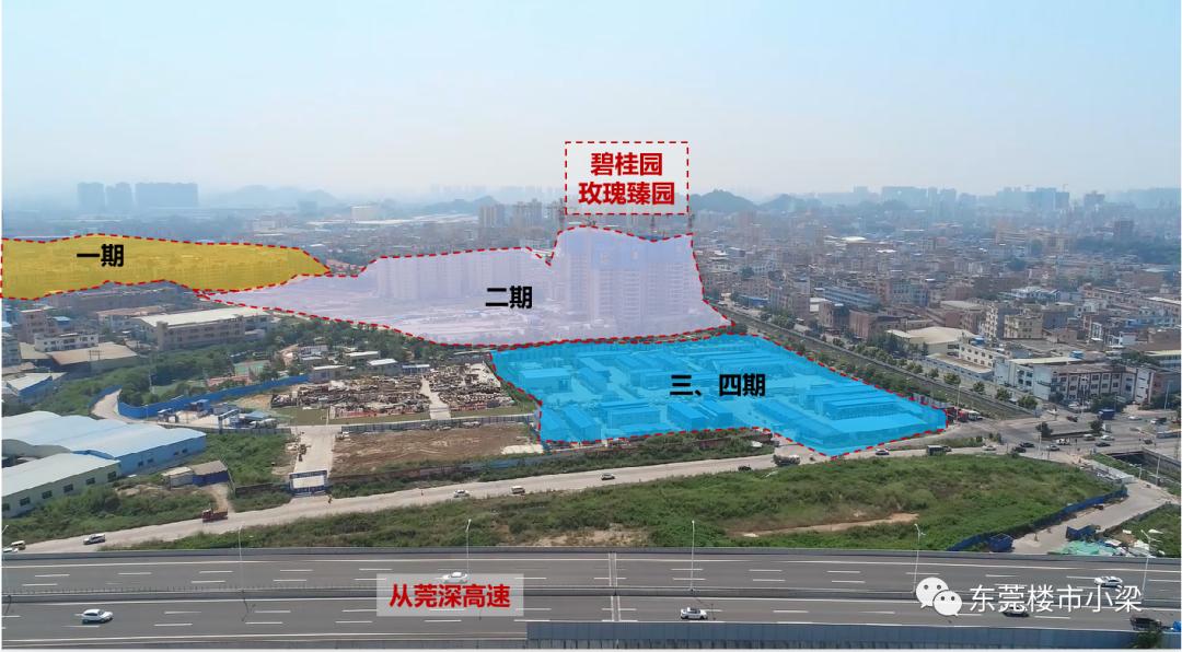 疫情后楼盘首开,东莞碧桂园玫瑰臻园户型图