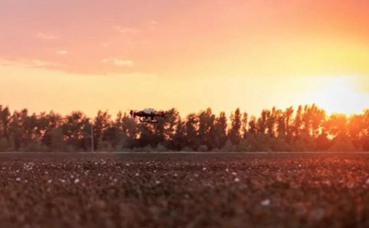 新疆棉花辟谣,辟谣新疆和田