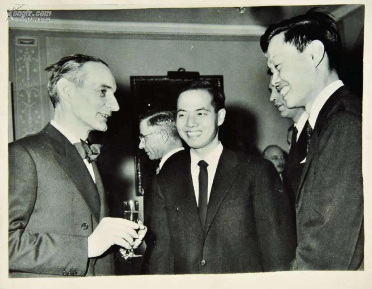 杨振宁与爱因斯坦交流过吗,杨振宁多大和爱因斯坦交谈的