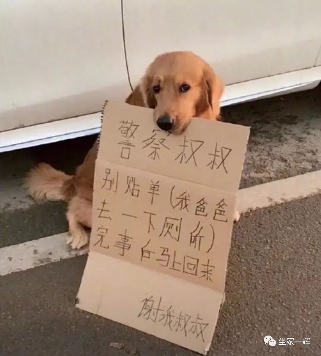 揭秘互联网比较常见的网赚骗局,知识分享割韭菜新套路