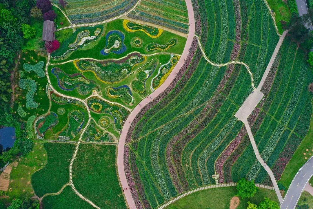 植物学第一次实验体会,植物学实践课