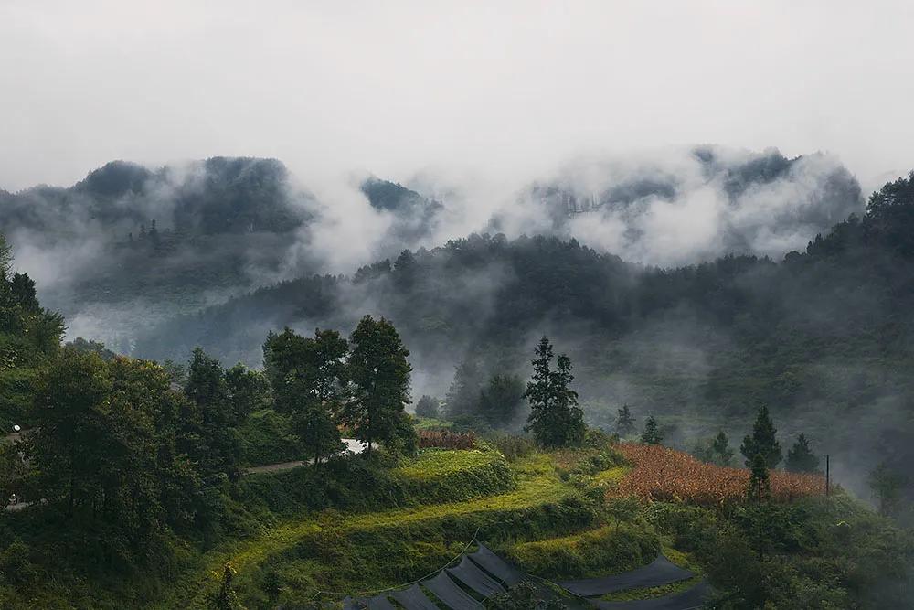 南川城区古桥,南川古桥风景图