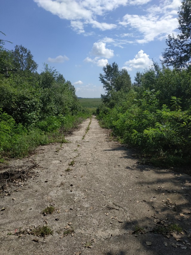 心中常驻芳华毛阿敏原唱,心中常驻芳华