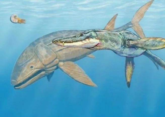 地球最大动物蓝鲸两百吨体重,地球最大的动物是什么动物