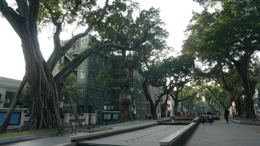 广州最北的地方,广州景区沙面岛