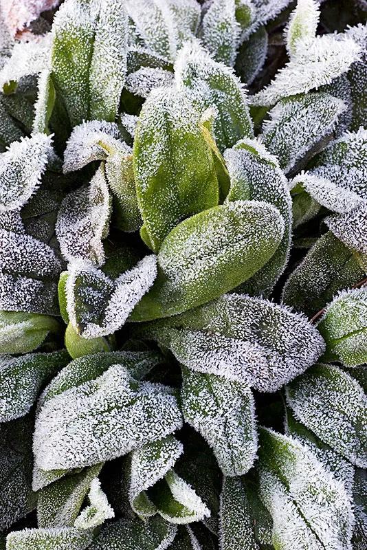 7种自然现象的物态变化,自然界中的物态变化总结