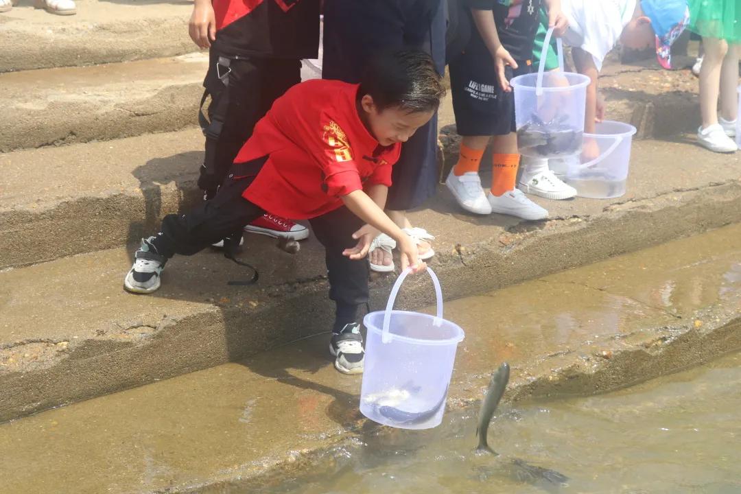 畅玩抚州嘉年华,畅玩海上嘉年华