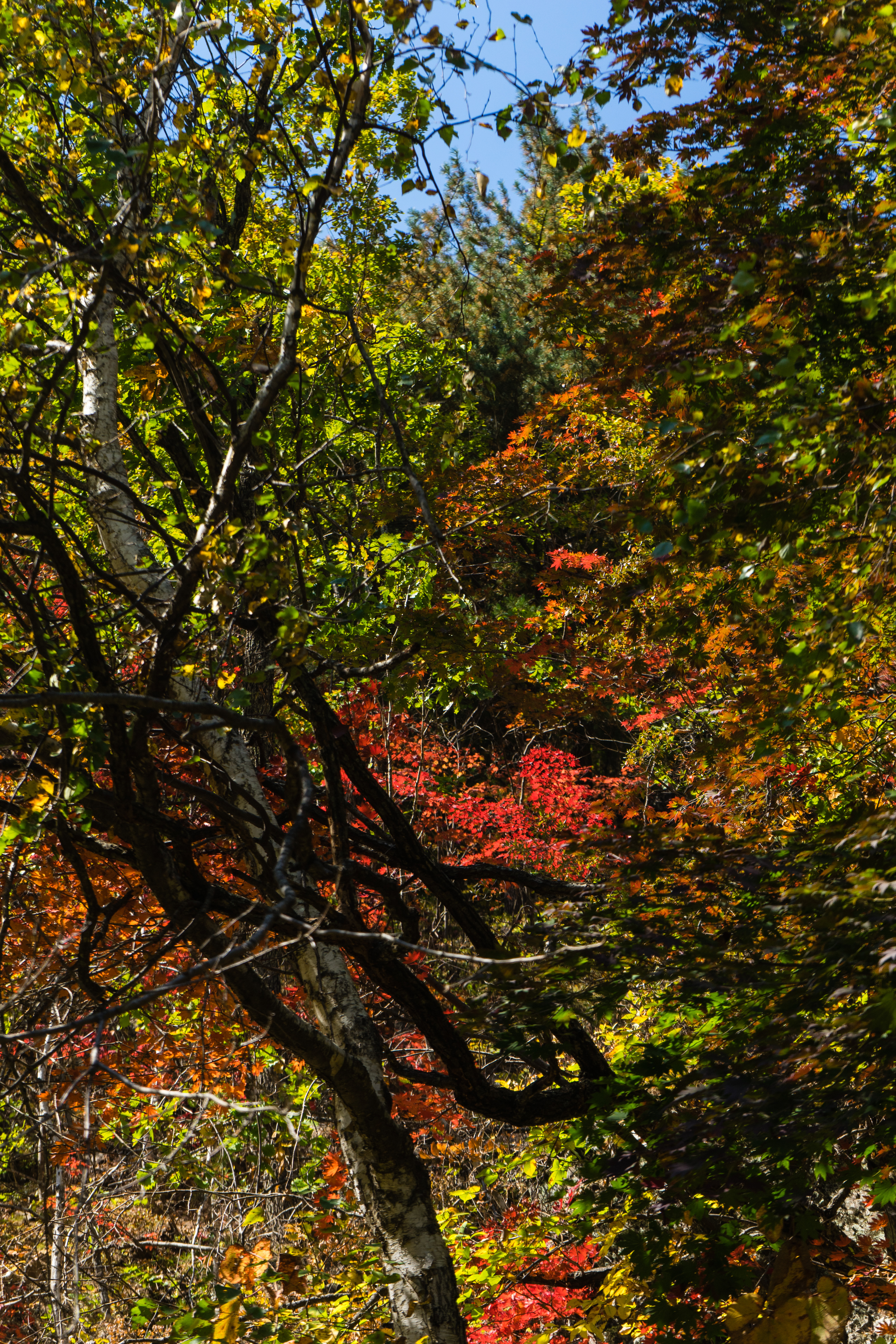 中朝边境自驾游视频,331国道自驾中朝攻略