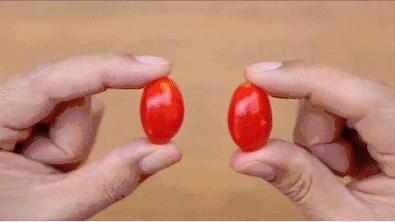 橘子和orange的区别,不是所有橘子都叫orange