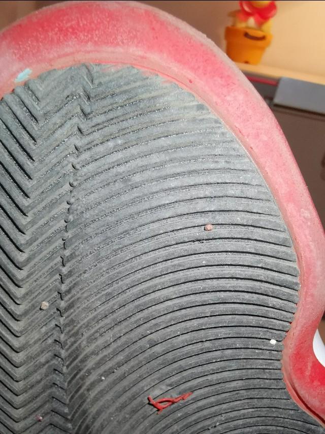 罗斯玫瑰战靴,玫瑰十年