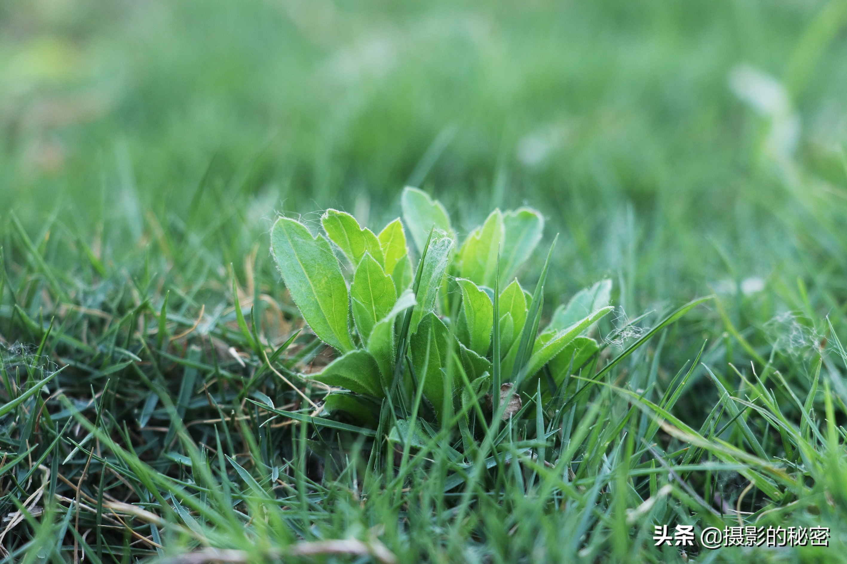 富图宝空气二号和空气三号,富图宝空气二号延时摄影