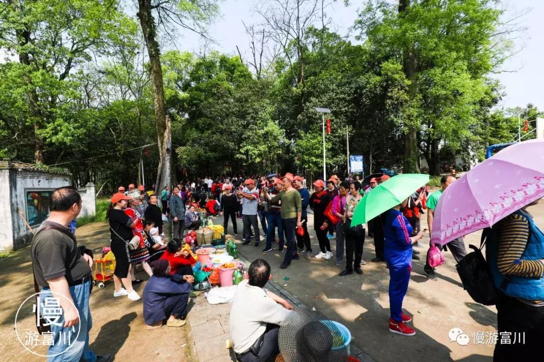 韩国富川旅行团,赞非