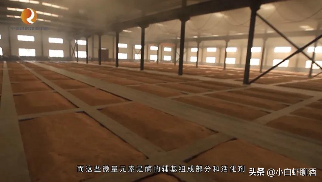 名气不大的四款好酒,公认最好喝又实惠的好酒