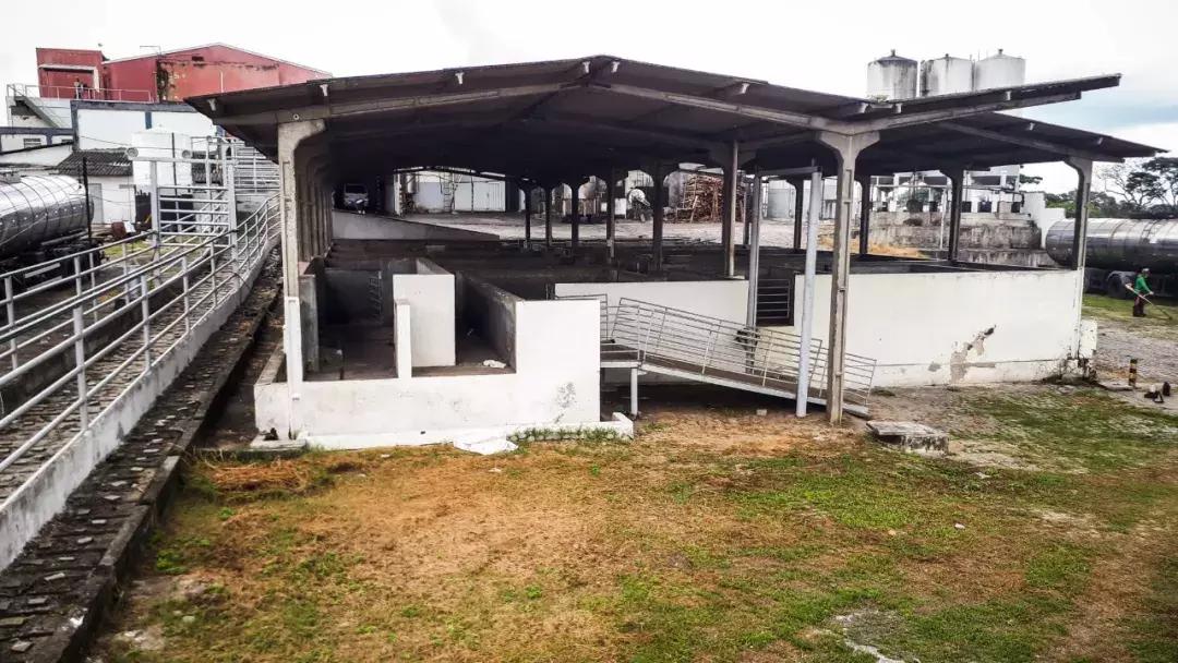 驴肉和阿胶哪个好,阿胶要抄底了吗