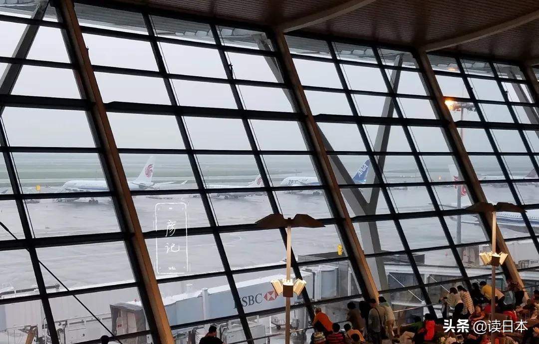 海外学子回国流程,国外留学生回国需要什么手续