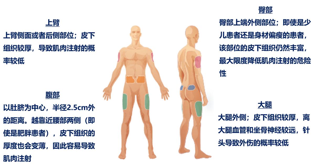 为什么先注射胰岛素再注射葡萄糖,胰岛素注射笔使用方法及注射部位