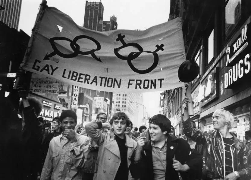 生活就是如此,我们想要独角兽,却得到了山羊