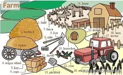 英语常用词语大全表图片,英文必背3000常用词