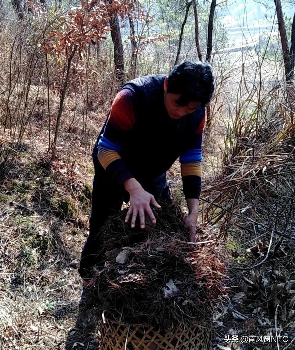 隔离日记农村,湖北农村隔离视频大全
