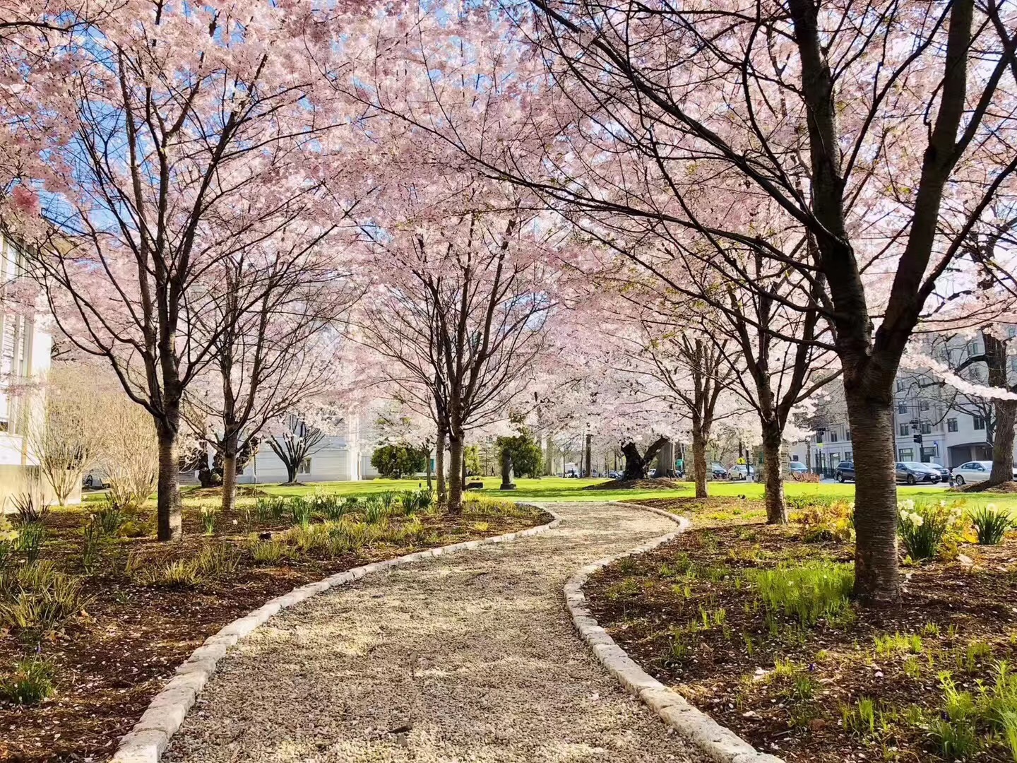 美国留学生被停学了怎么办,美国留学生休学会被退学吗