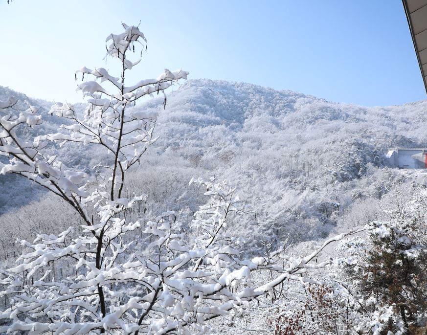 赏雪何须去北国,赏梦幻雾凇耍雪的绝佳去处