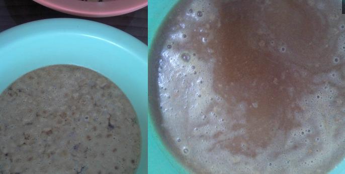 狗粮消化的正确方式,你们买的哪种狗粮实惠又有营养