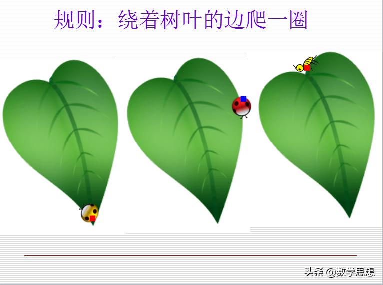 周长的认识大单元教学,周长的认识