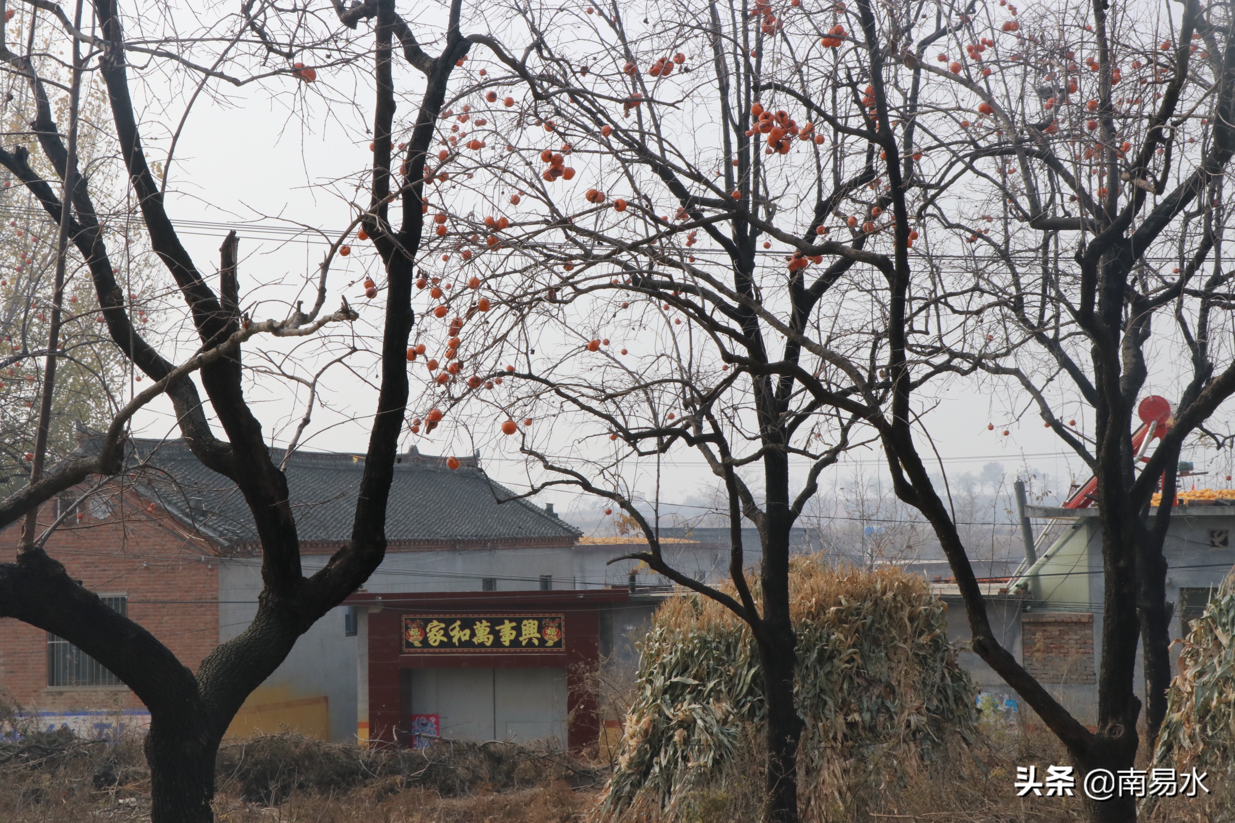 家乡风景带你一起感受自然的味道,令你难以忘怀的家乡的味道
