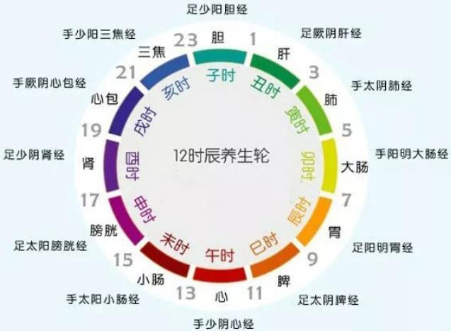 勿谓一丝微，既绍难再白中的生活时间是如何运转的？