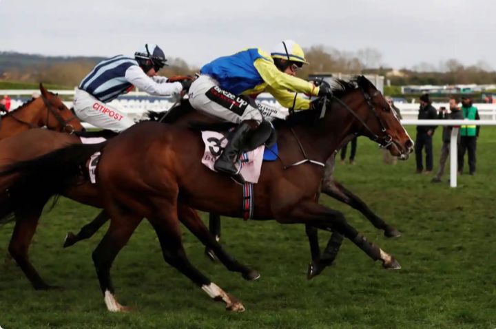 2006年切尔滕纳姆赛马节,世界顶级名马比赛视频表演