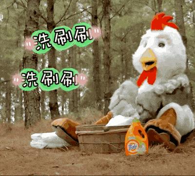 内衣裤专用洗衣机鸡肋,鸡肋的衣服收纳神器