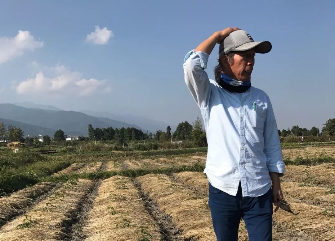 让农业真正回归照顾生命