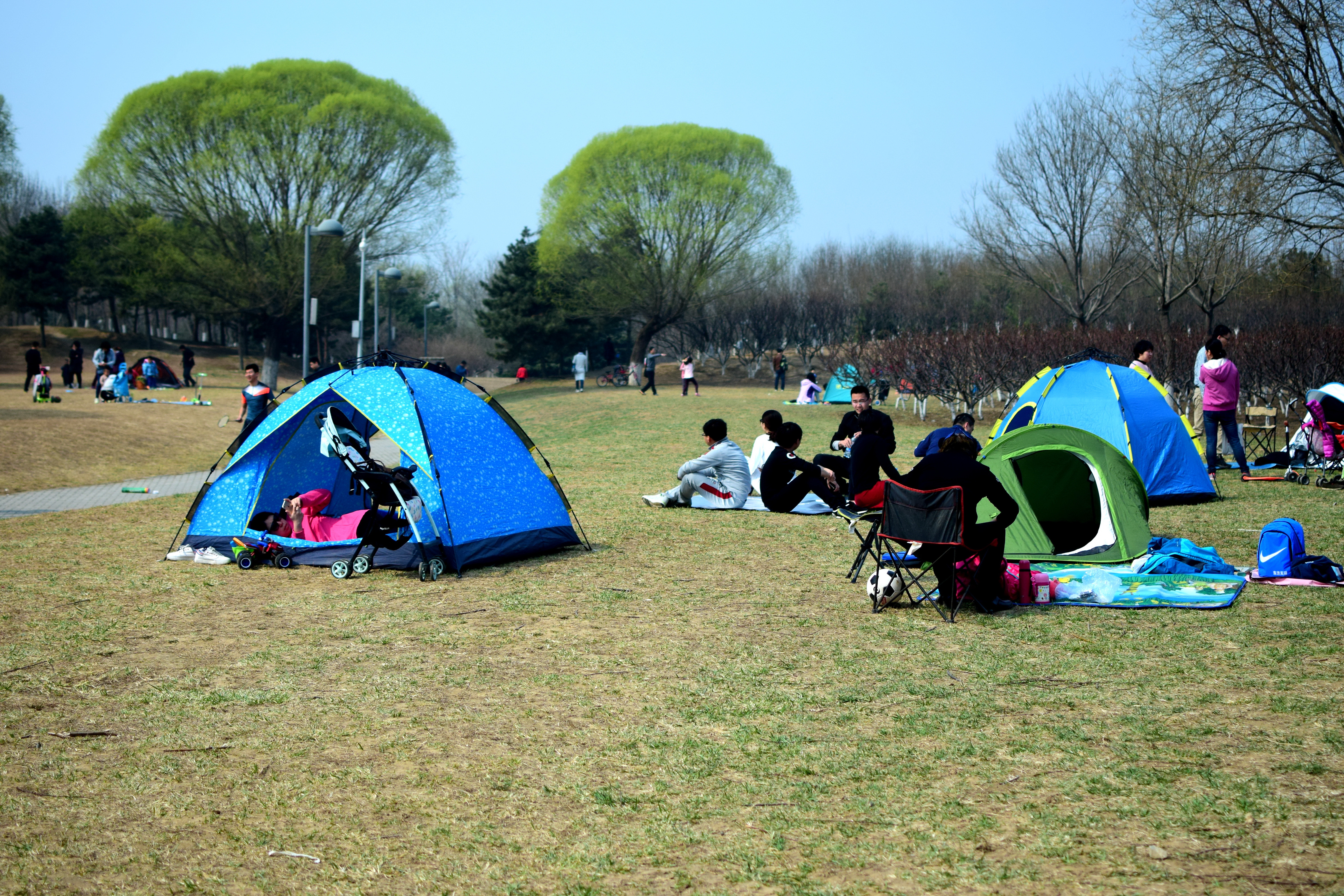 北京奥森开始限流，不允许游客带帐篷，这种场面暂时不会出现了
