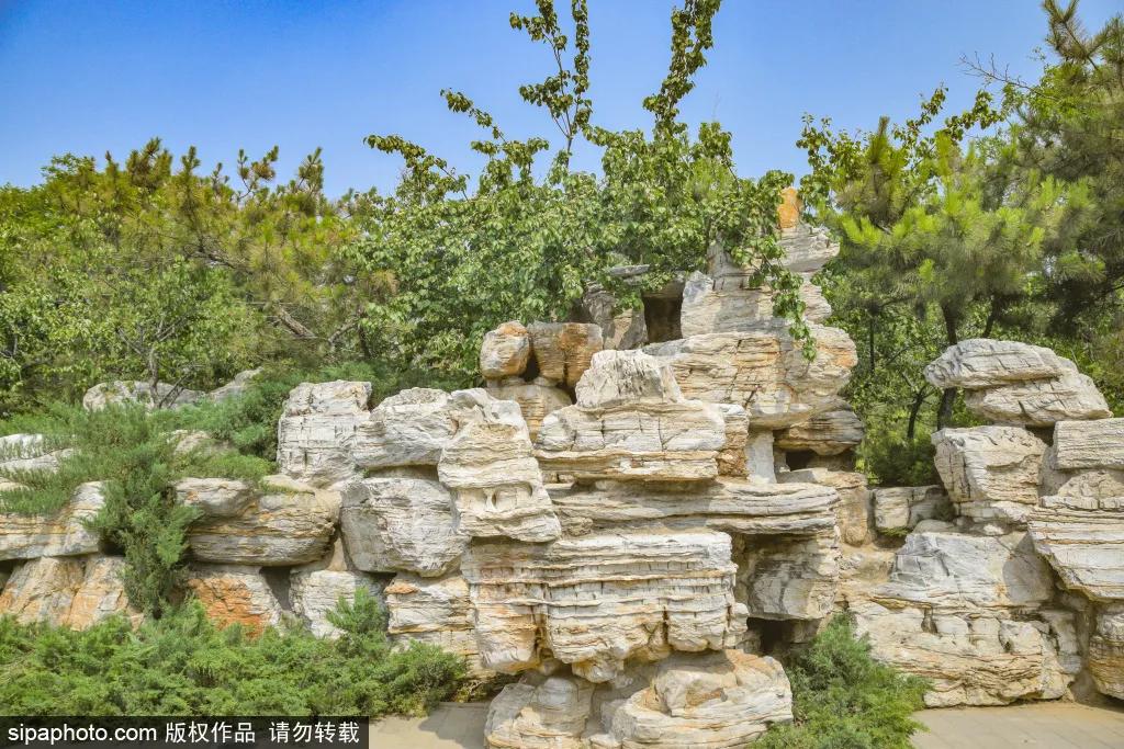 紫色花海免费版,紫色花海免费